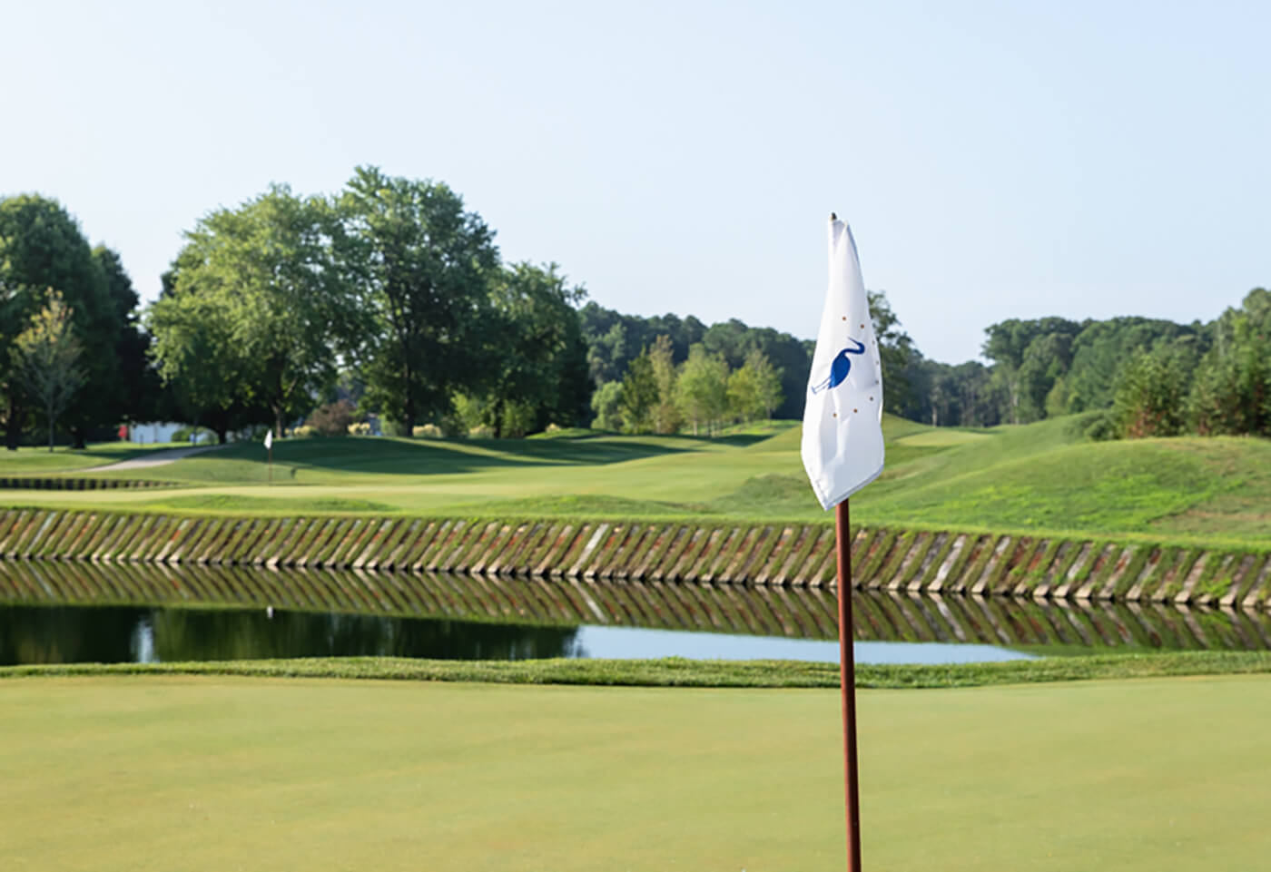 golf green with flag