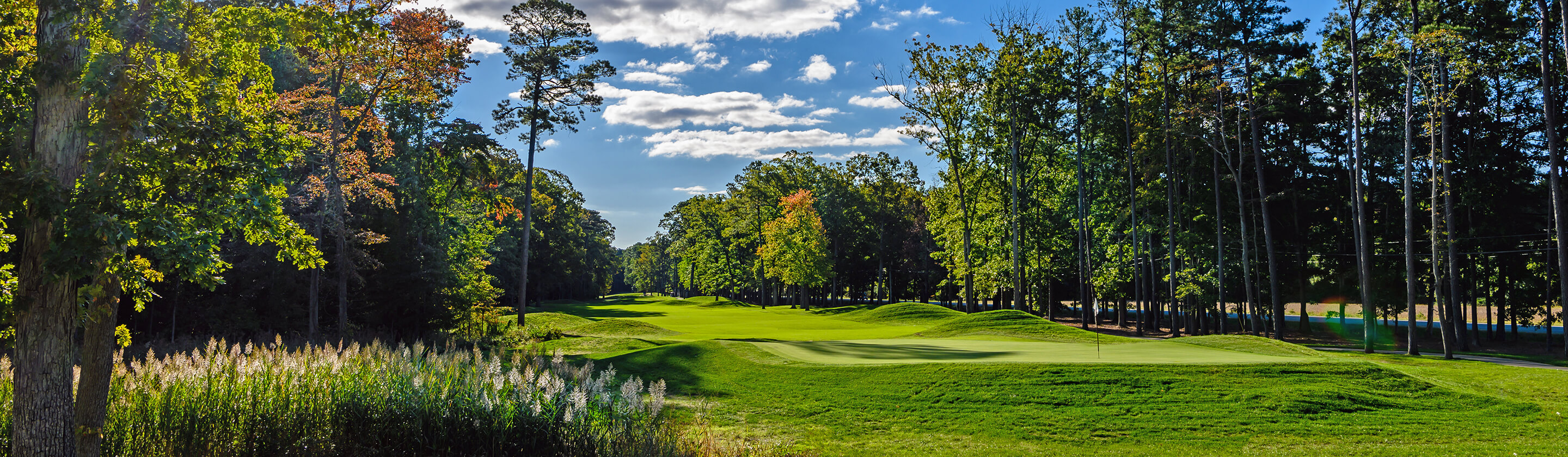 golf green and surrounding landscape